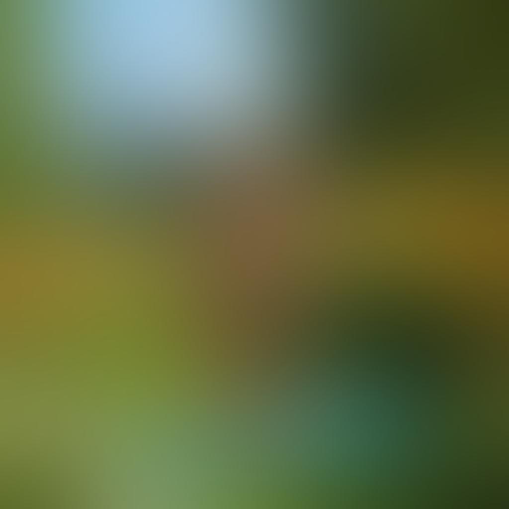 A serene urban park scene depicting diverse individuals joyfully embracing nature in a clothing-optional setting, surrounded by lush greenery, vibrant flowers, and a clear blue sky. The ambiance radiates tranquility and inclusiveness, with people engaging in mindfulness activities like yoga and meditation. Optionally include a modern city skyline in the background to evoke a metropolitan feel. bright colors. super-realistic. soft lighting.